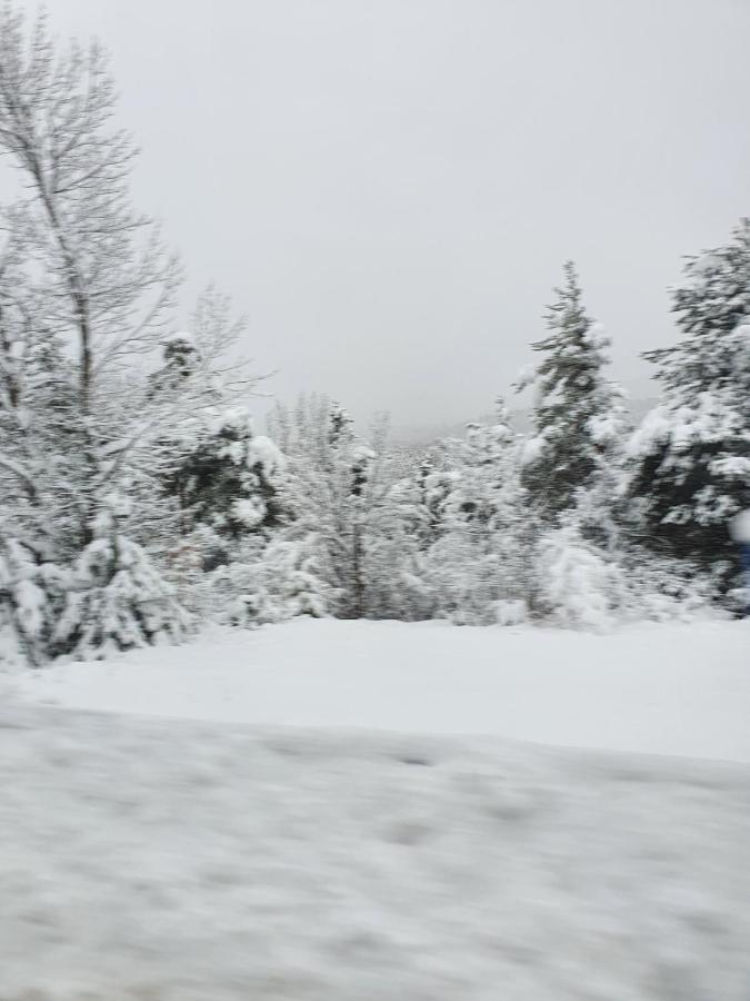 Coeur D'Altair Risoul 1850 Appartement T2 Confortable Skis Aux Pieds A 300 M Centre 外观 照片