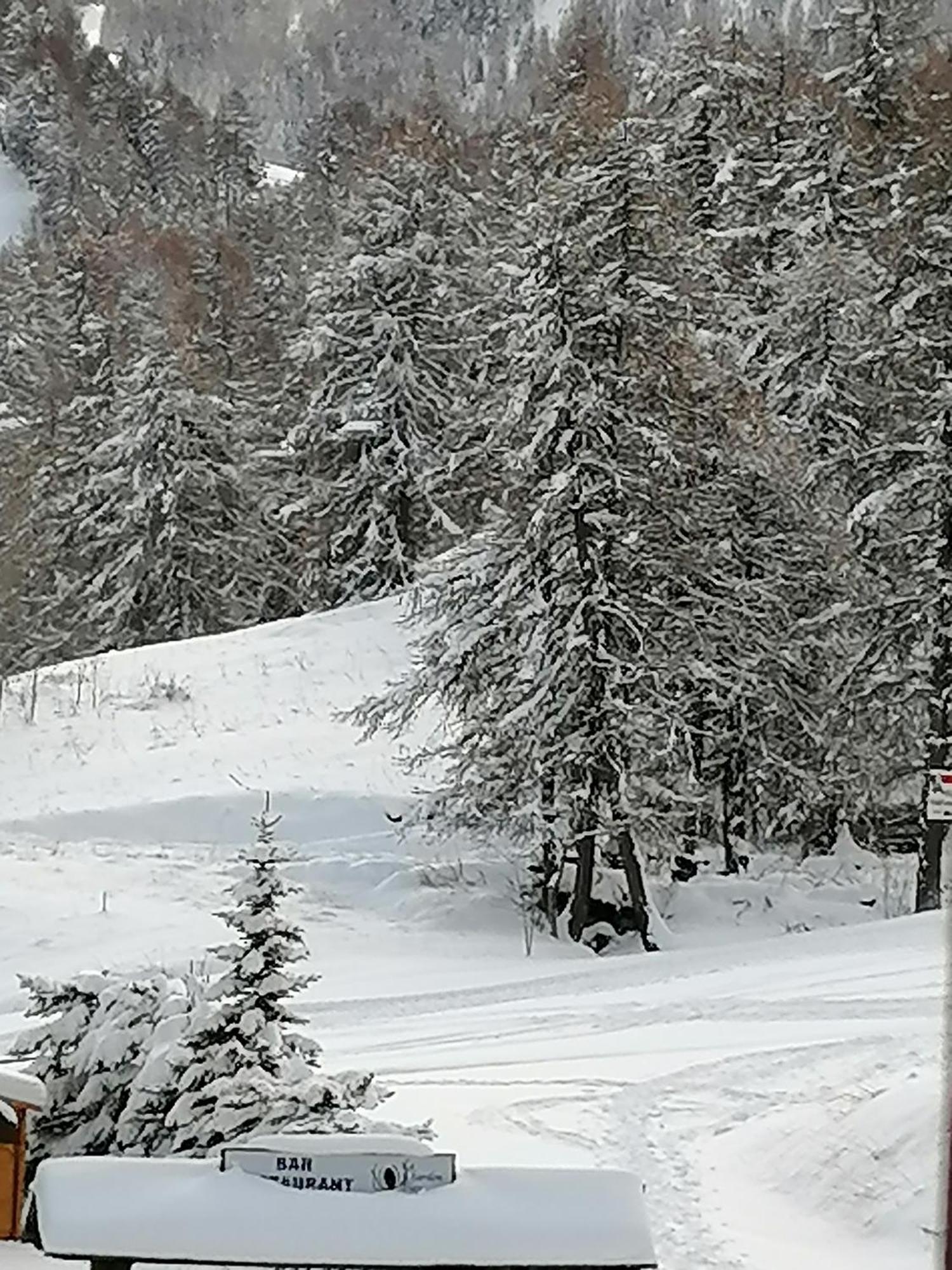 Coeur D'Altair Risoul 1850 Appartement T2 Confortable Skis Aux Pieds A 300 M Centre 外观 照片